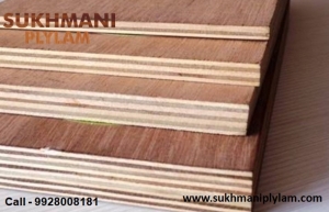 Plywood Supplier in Udaipur